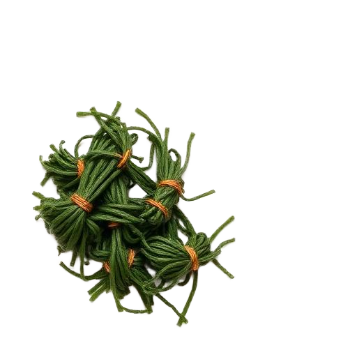 8-Second Kelp Knots · 八秒海带结
