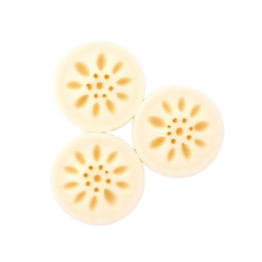 Lotus Root · 莲藕