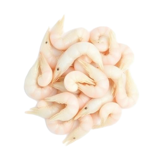 White Shrimp · 白虾