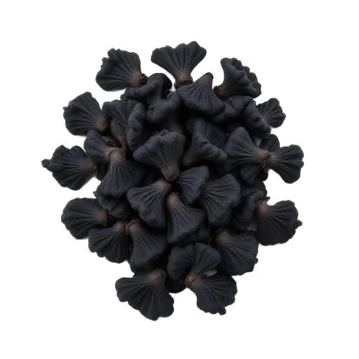 Wood Ear Fungus · 木耳